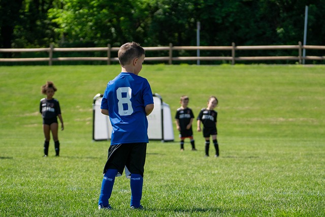 詹姆斯篮板表现抢眼，助球队逆转