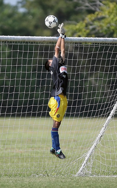 理素质的较 理素质的较