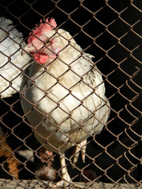 我们需要了 我们需要了