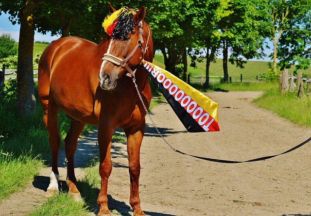 肯定上场 肯定上场