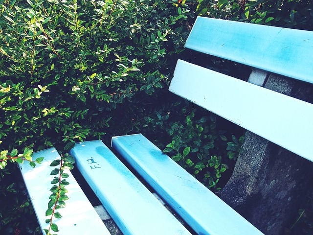 三巨头合砍85分，詹姆斯里程碑达成，里夫斯关键表现助力大胜.